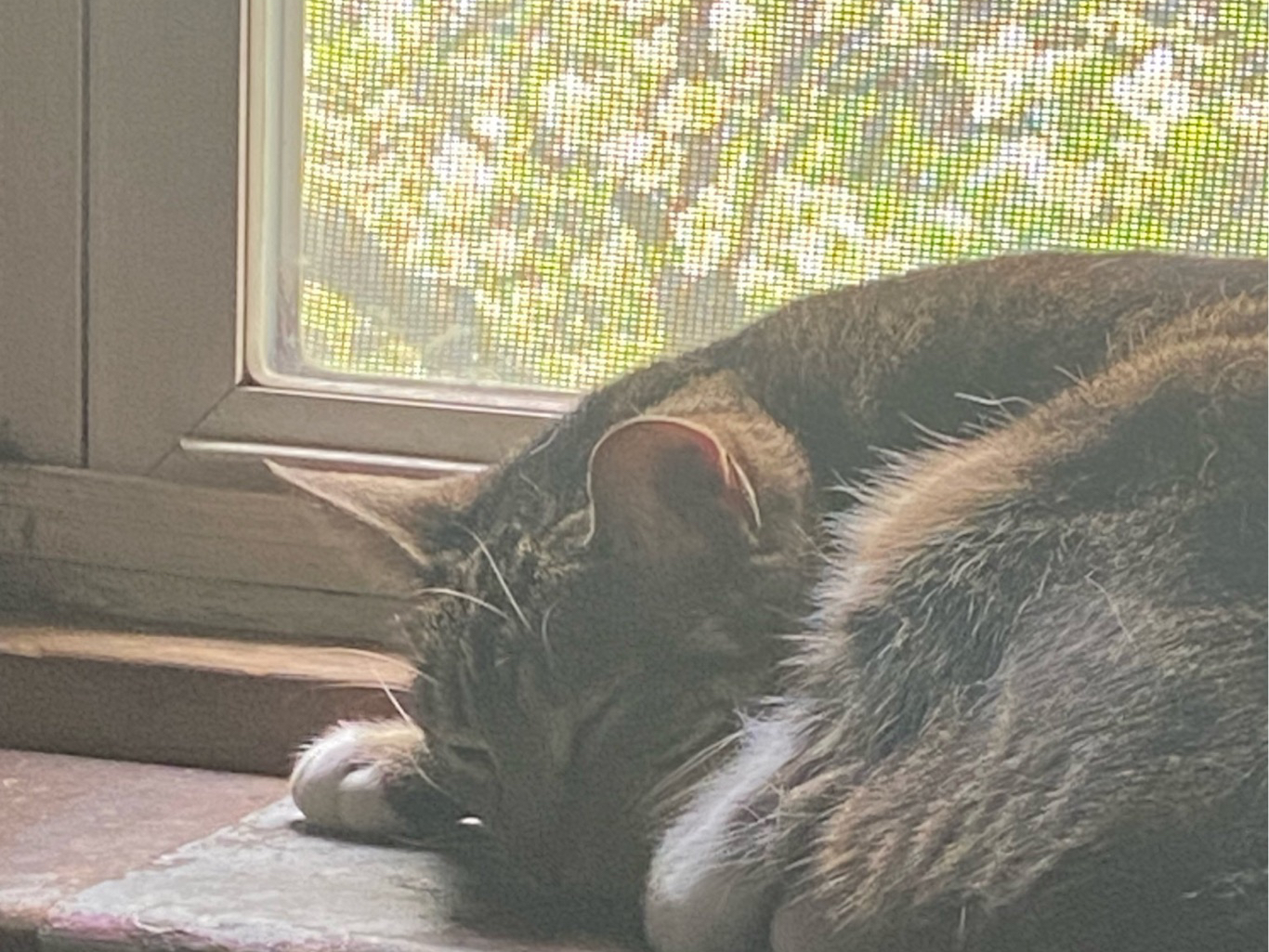 Rrrrrrrrrtf

#nsale #LTKfit #LTKbaby