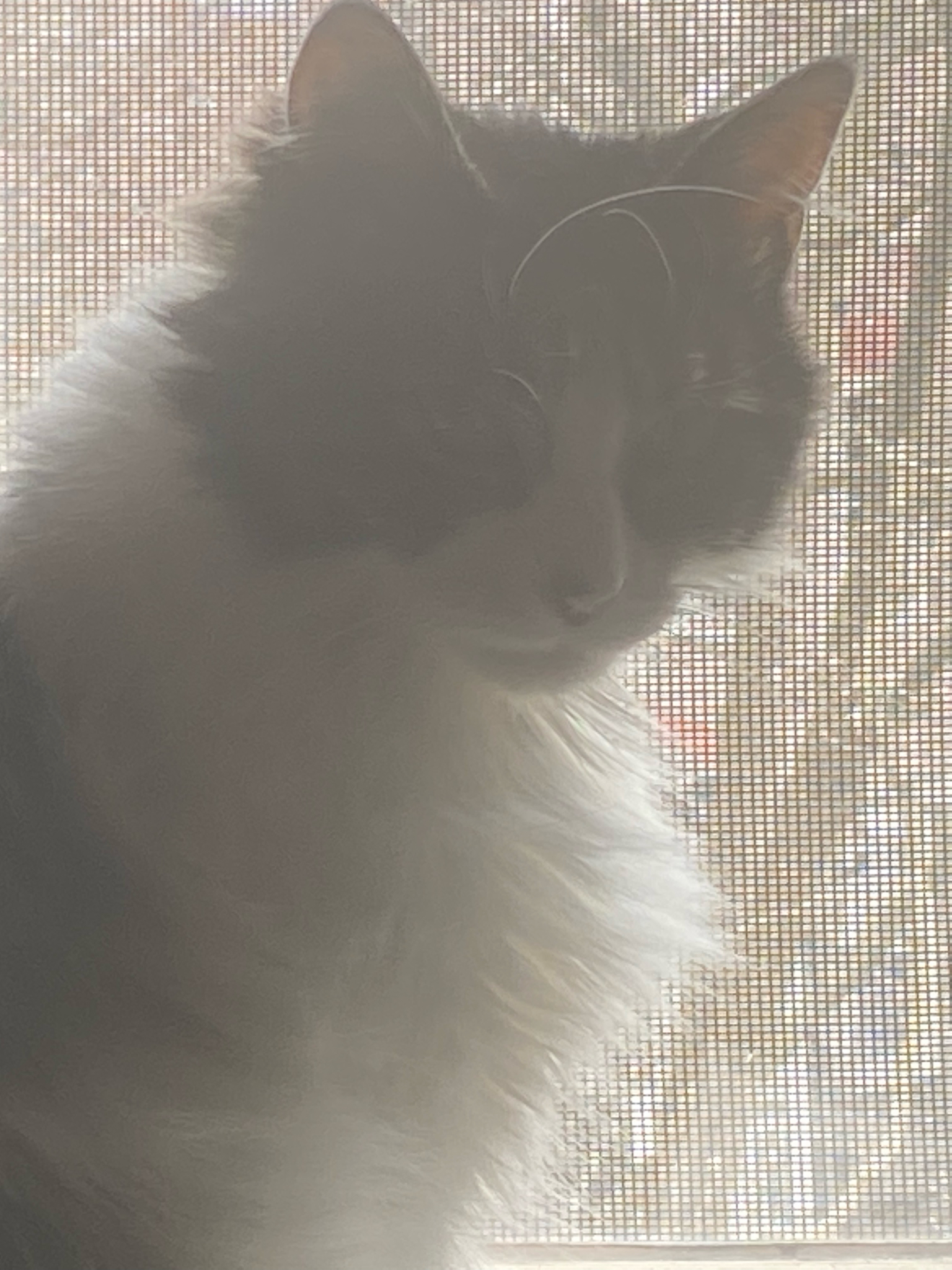 #LTKSale 

#LTKSeasonal #LTKworkwear