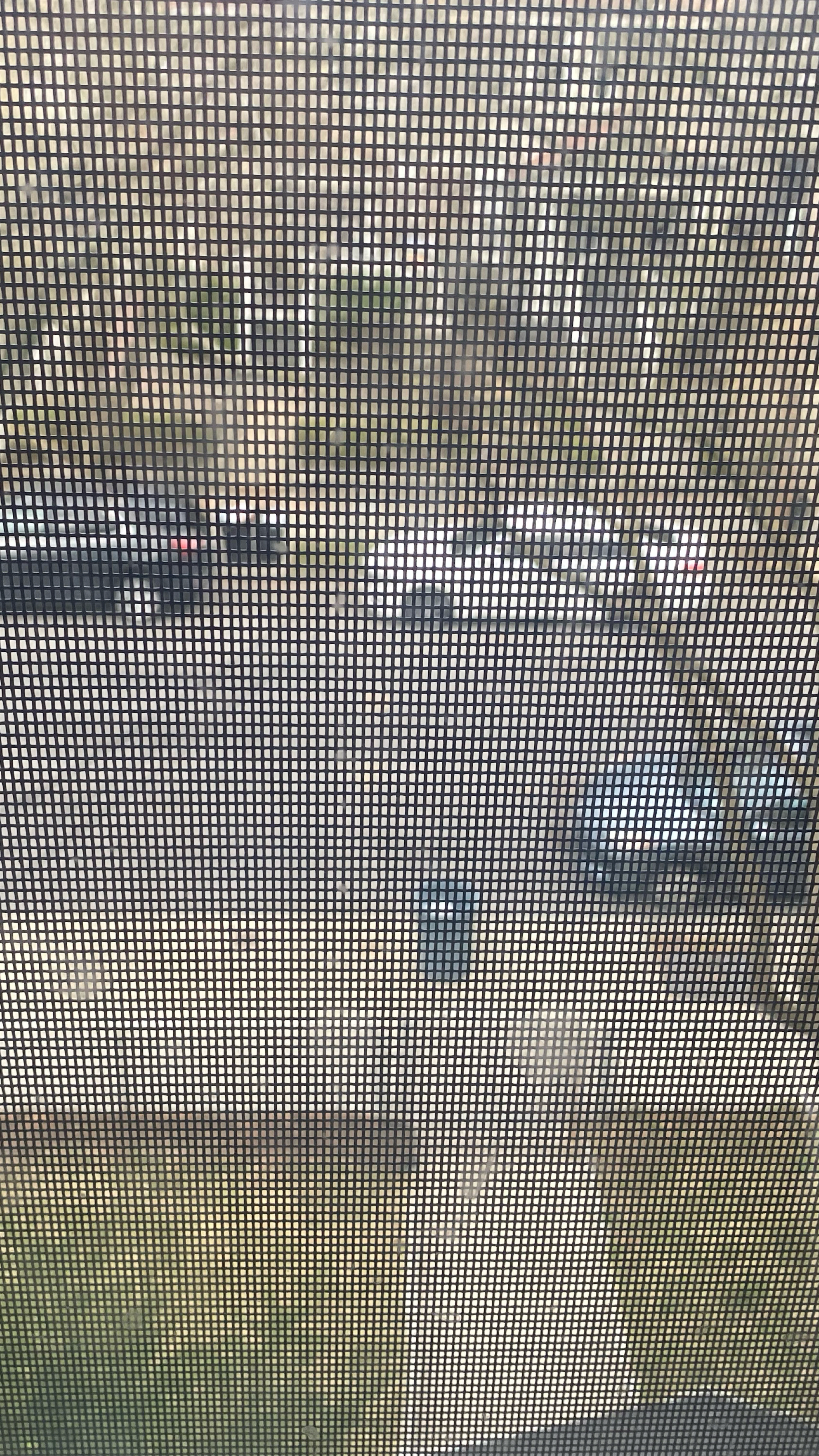 #LTKunder100 #LTKSeasonal #LTKSale