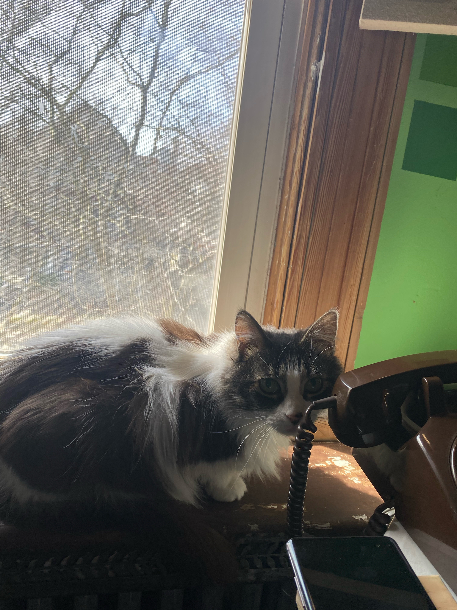 testing and then we will have æèýùúßßß

#LTKGiftGuide #LTKcurves #LTKSeasonal