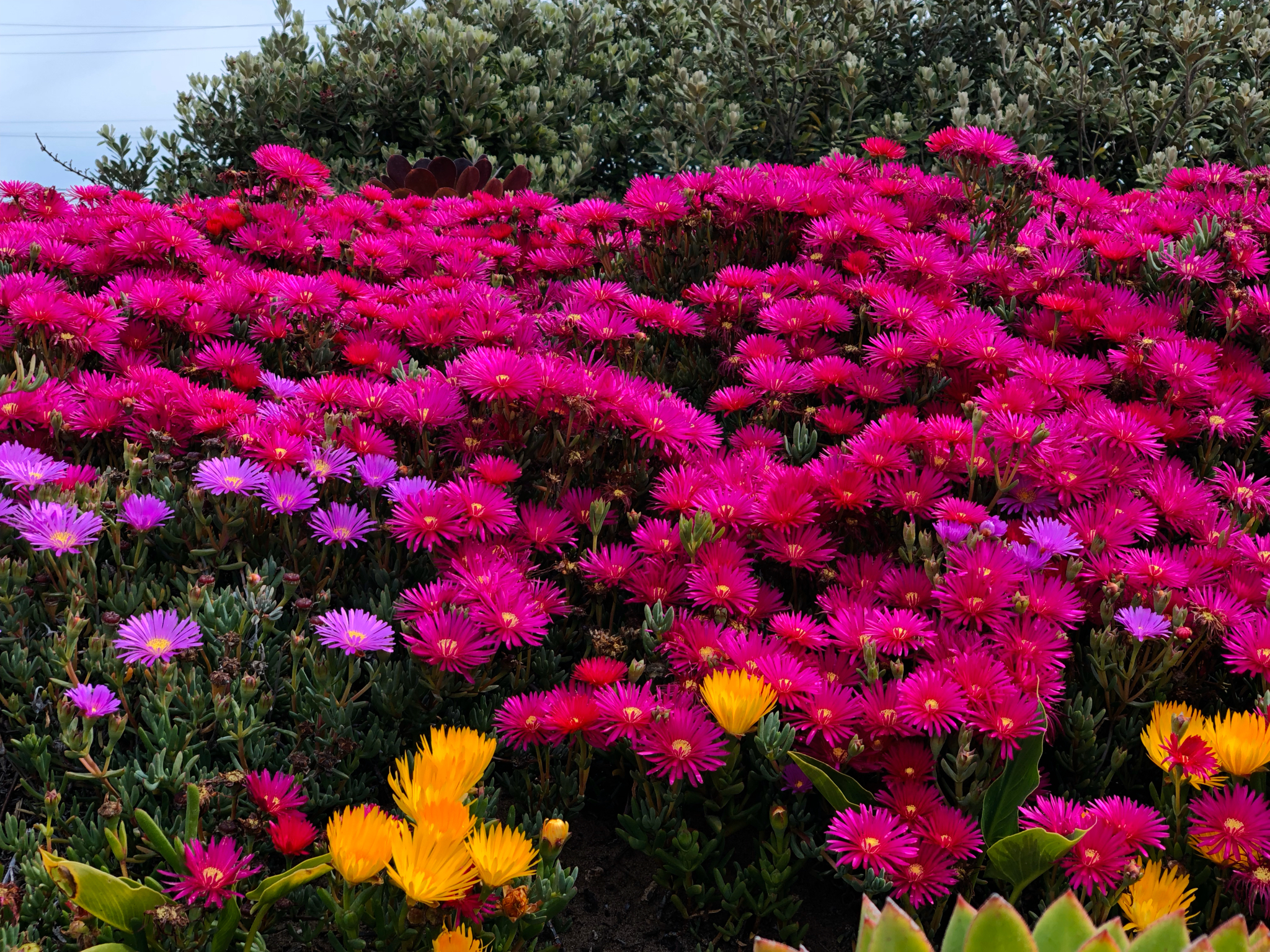 New time

#LTKGiftGuide #LTKRefresh