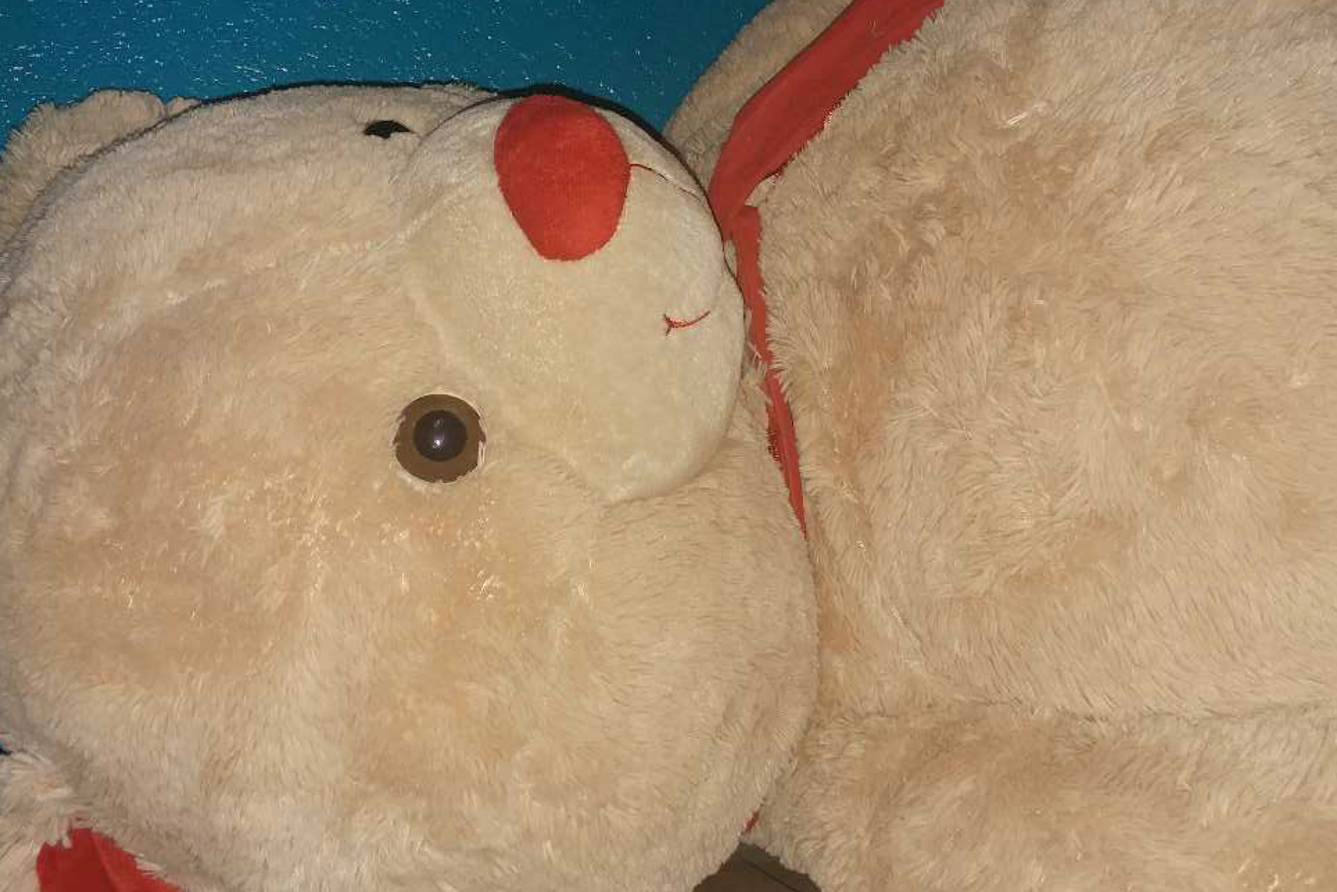 New caption

#LTKRefresh