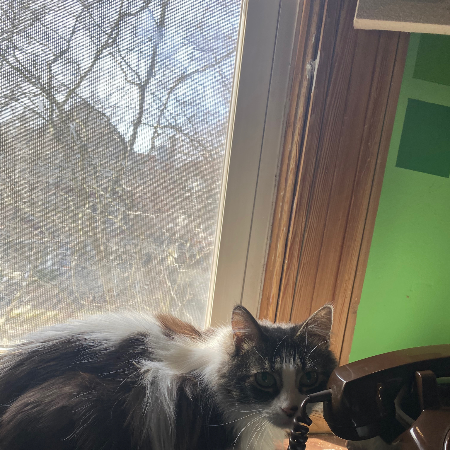 Follow me in the @LTK shopping app to shop this post and get my exclusive app-only-content!

#liketkit #LTKGiftGuide #LTKcurves #LTKSeasonal #LTKGiftGuide
@shop.ltk
https://qa-ltk-spa.liketk.it/2tj10

#LTKSeasonal #LTKGiftGuide